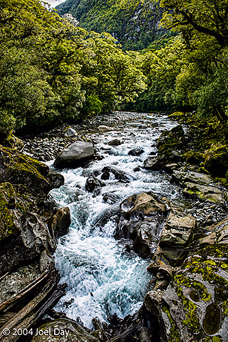 Fiordland National Park, South Island, New Zealand