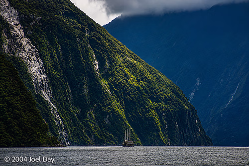 Milford Sound in Fiordland National Park, South Island, New Zealand