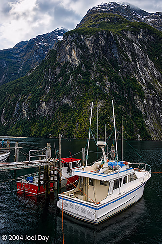 Boats in Milford Sound, Fiordland National Park, South Island, New Zealand