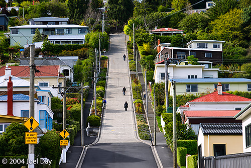 Baldwin Street, Dunedin - The Steepest Street in the World