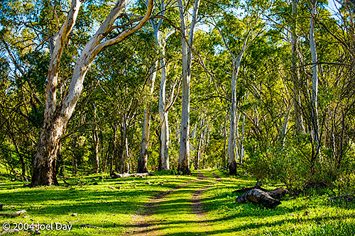 Mount Remarkable National Park, South Australia