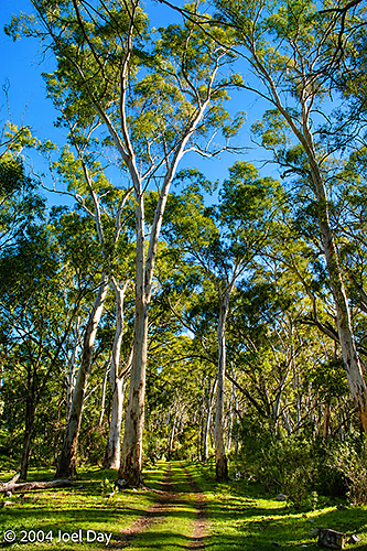 Mount Remarkable National Park, South Australia