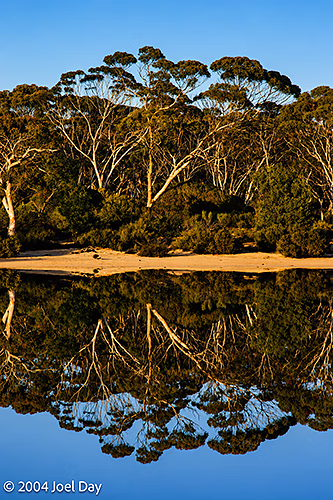Salt lake along Dundas Rocks Road near Salmon Gums, Western Australia