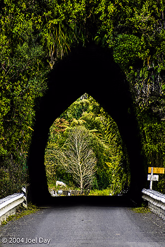 One Lane Tunnel, North Island, New Zealand
