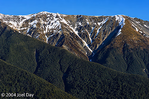 Nelson Lakes National Park, South Island, New Zealand