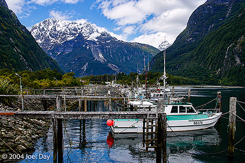 Boats in Milford Sound, Fiordland National Park, South Island, New Zealand