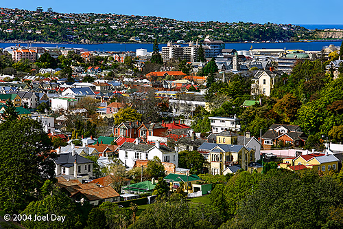 Dunedin, South Island, New Zealand