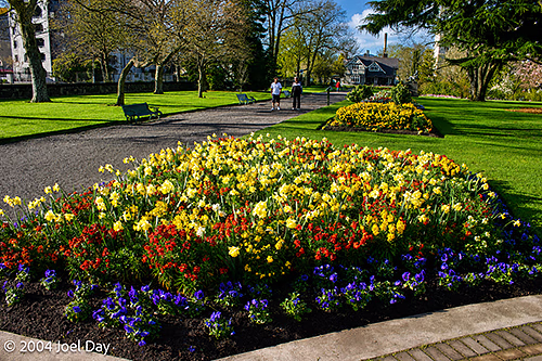 Christchurch Botanic Gardens, South Island, New Zealand