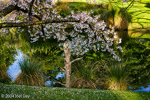 Christchurch Botanic Gardens, South Island, New Zealand