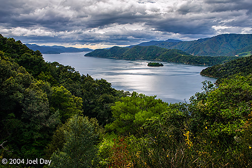 Queen Charlotte Sound, South Island, New Zealand