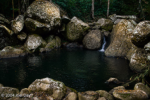 Swimming Hole next to The Sleeping Giant in Fiji