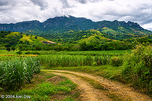 Mountain Bike Circuit through Sugarcane Fields in Fiji