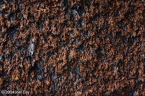 Volcanic Rock Pattern, Hawai'i Volcanoes National Park, Island of Hawai'i, Hawai'i