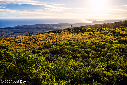 Mauna Loa Lookout, Hawai'i Volcanoes National Park, Island of Hawai'i, Hawai'i