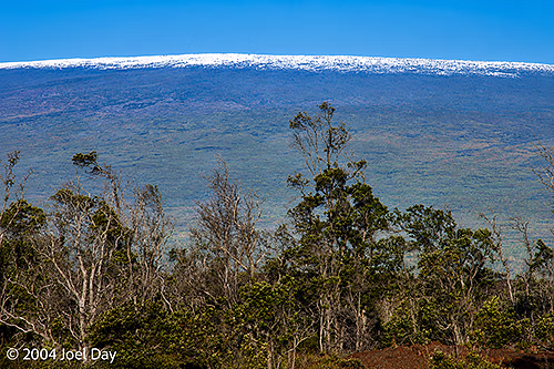 Snow-capped Mauna Loa Volcano in Hawai'i Volcanoes National Park, Island of Hawai'i, Hawai'i