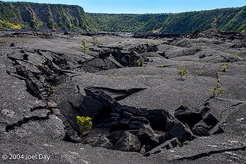Kīlauea Iki Crater Hike, Hawai'i Volcanoes National Park, Island of Hawai'i, Hawai'i