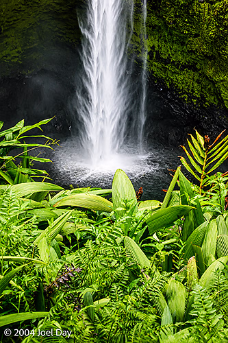 128m / 420ft high ʻAkaka Falls, Island of Hawai'i, Hawai'i