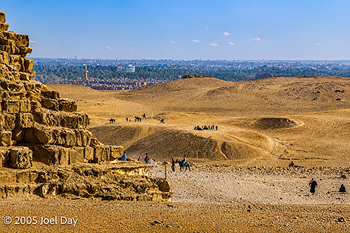 Camels and Donkeys waiting for tourists at The Great Pyramids of the Giza Necropolis near Cairo, Egypt