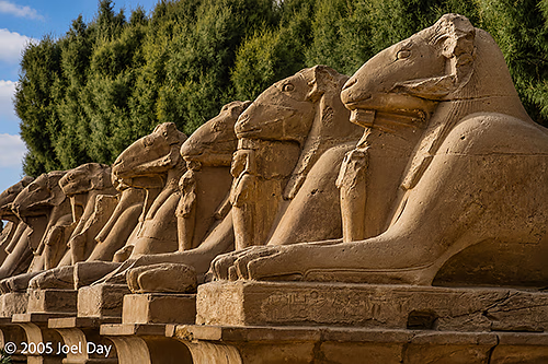 Ancient avenue of ram-headed sphinxes, Karnak Temple, Luxor, Egypt