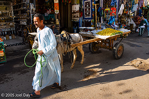Donkey Cart of Fresh Market Produce, Aswan, Egypt