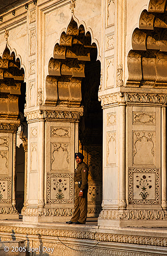 Rang Mahal, part of the Red Fort, a historic Mughal fort located in the Old Delhi area of Delhi, India