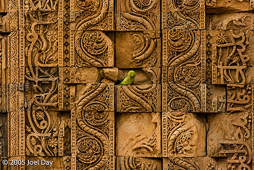 Monuments and Buildings of the Qutb Minar complex (finished in 1368), Delhi, India
