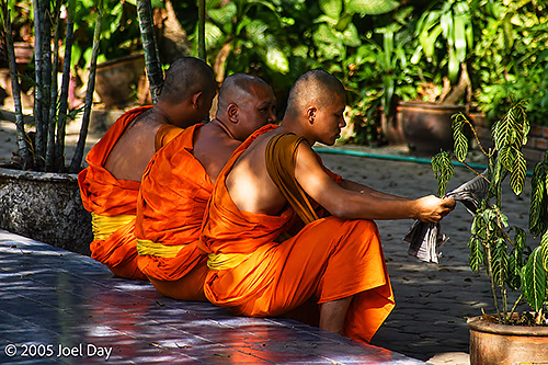 Buddhist Monks reading newspapers in Chiang Mai, Thailand