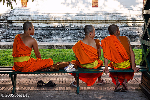 Buddhist Monks relaxing in Chiang Mai, Thailand