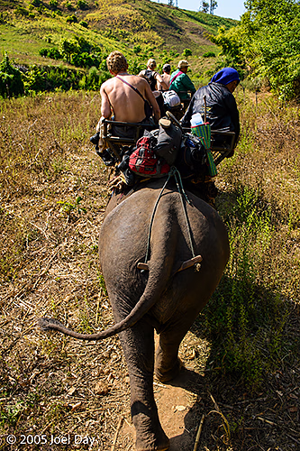 Elephant Transport near the Thai-Burma Border, Chiang Mai Province, Thailand