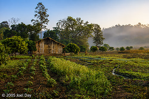 Mountain Village Huts near the Thai-Burma Border, Chiang Mai Province, Thailand