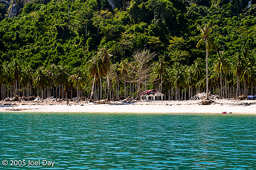 Ko Phi Phi Island cleaning up from the December 26th Boxing Day Tsunami, Thailand