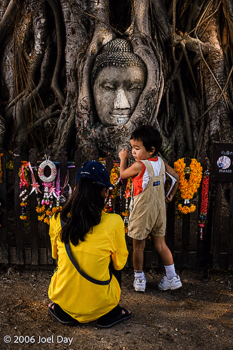 Mother and child praying at the Buddha head in the sacred Bodhi Tree, Ayutthaya Historical Park, Ayutthaya, Thailand