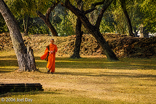 Buddhist Monk, Ayutthaya, Thailand