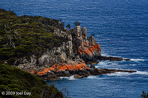 Lichen Cliffs of Freycinet National Park, Tasmania