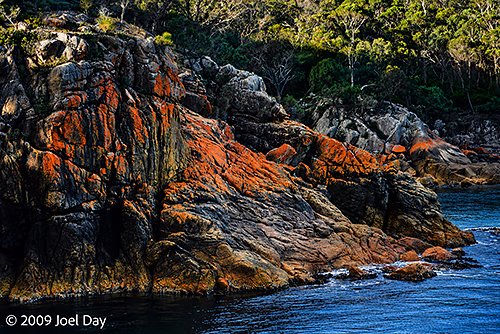 Lichen Cliffs of Freycinet National Park, Tasmania