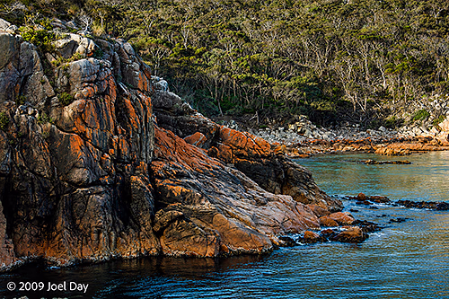 Lichen Cliffs of Freycinet National Park, Tasmania