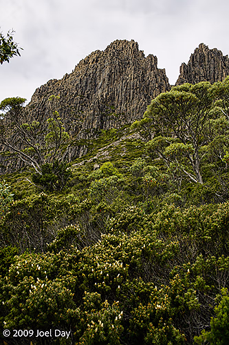 Cradle Mountain, Overland Track, Tasmania
