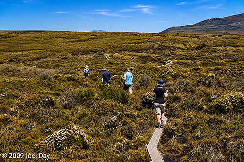 Lake Will side trip along the Waterfall Valley to Lake Windermere segment of the Overland Track, Tasmania