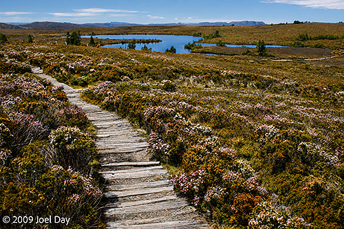 Lake Will side trip along the Waterfall Valley to Lake Windermere segment of the Overland Track, Tasmania