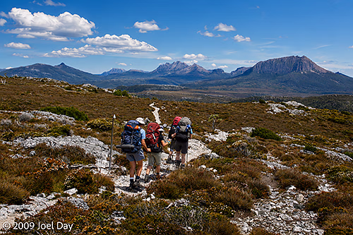 Hikers along the Waterfall Valley to Lake Windermere segment of the Overland Track, Tasmania