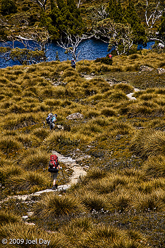 Hikers along the Waterfall Valley to Lake Windermere segment of the Overland Track, Tasmania