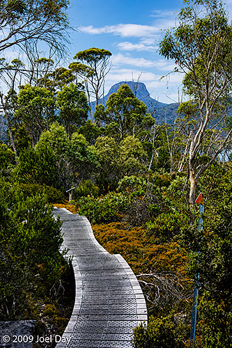 Hiking trail along the Waterfall Valley to Lake Windermere segment of the Overland Track, Tasmania