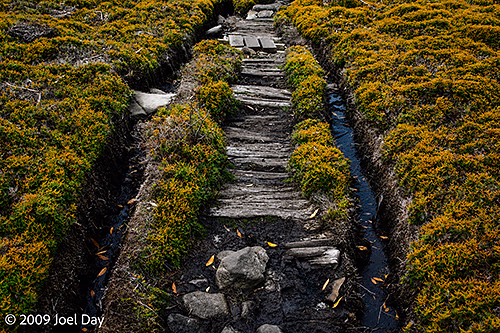 Worn out stretch of the Waterfall Valley to Lake Windermere segment of the Overland Track, Tasmania