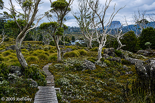 Evening side trip to Lake Windermere, Overland Track, Tasmania