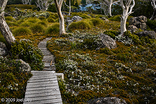 Evening side trip to Lake Windermere, Overland Track, Tasmania