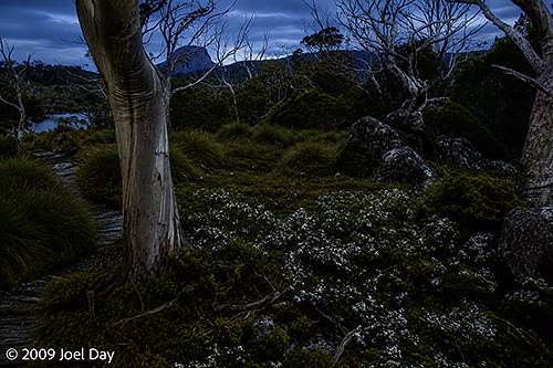 Evening side trip to Lake Windermere, Overland Track, Tasmania