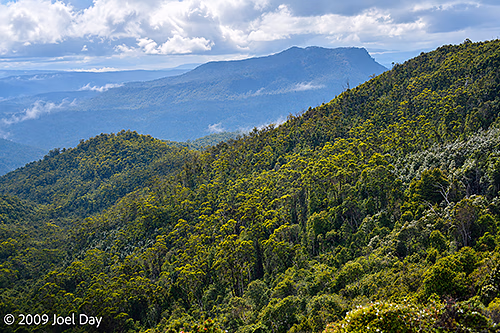 Views from the Lake Windermere to Pelion stretch of the Overland Track in Tasmania