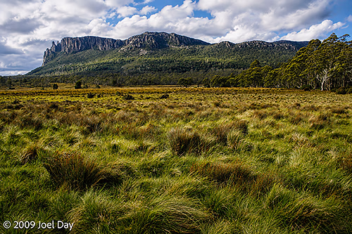 Buttongrass moorlands in front of the Pelion Hut on the Overland Track in Tasmania