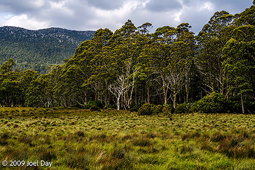 Sun setting on wilderness in front of the Pelion Hut on the Overland Track in Tasmania