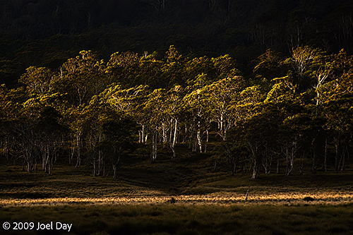 Sun setting on wilderness in front of the Pelion Hut on the Overland Track in Tasmania